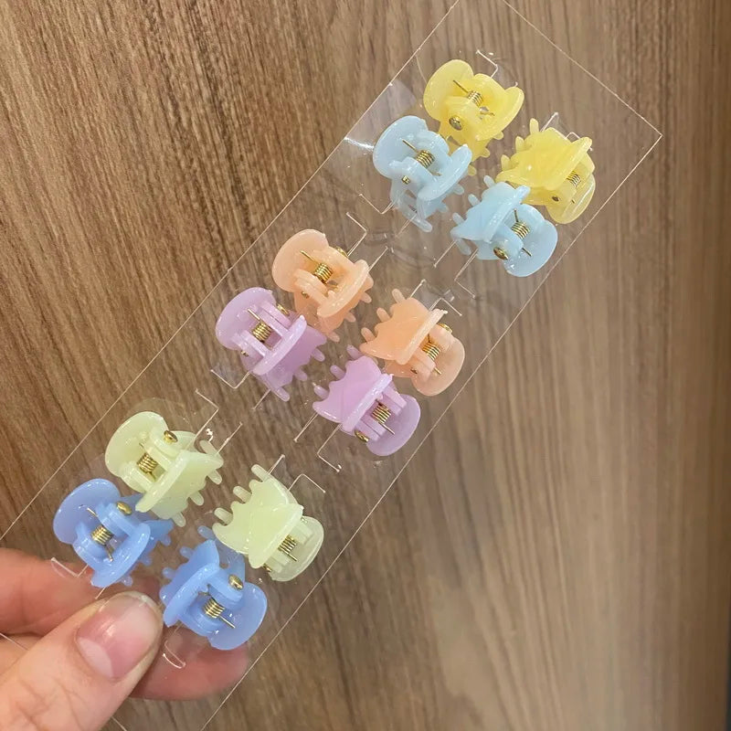 Set de 12 mini pinces crabe colorées