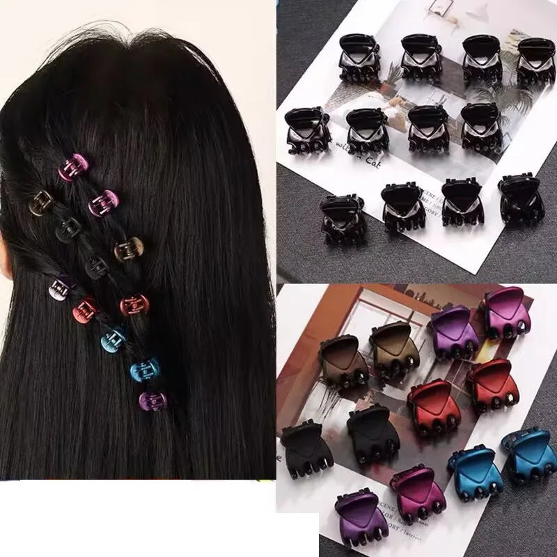 Set de 12 mini pinces crabe colorées